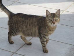 Cyprus