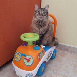 Kurilian